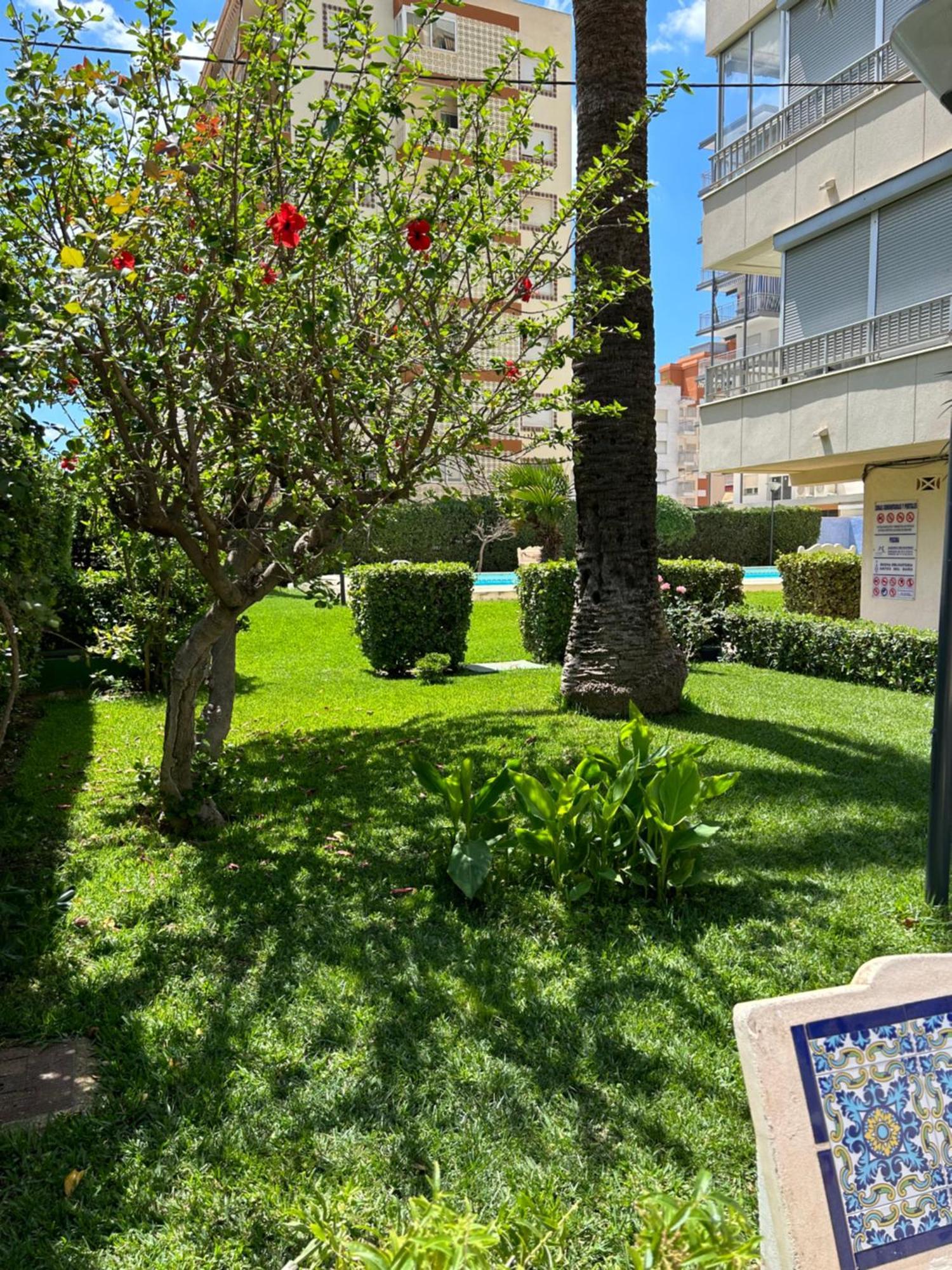 Apartamento Gandia Playa 150M Playa Con Parking Privado Y Piscina Playa de Gandia Buitenkant foto